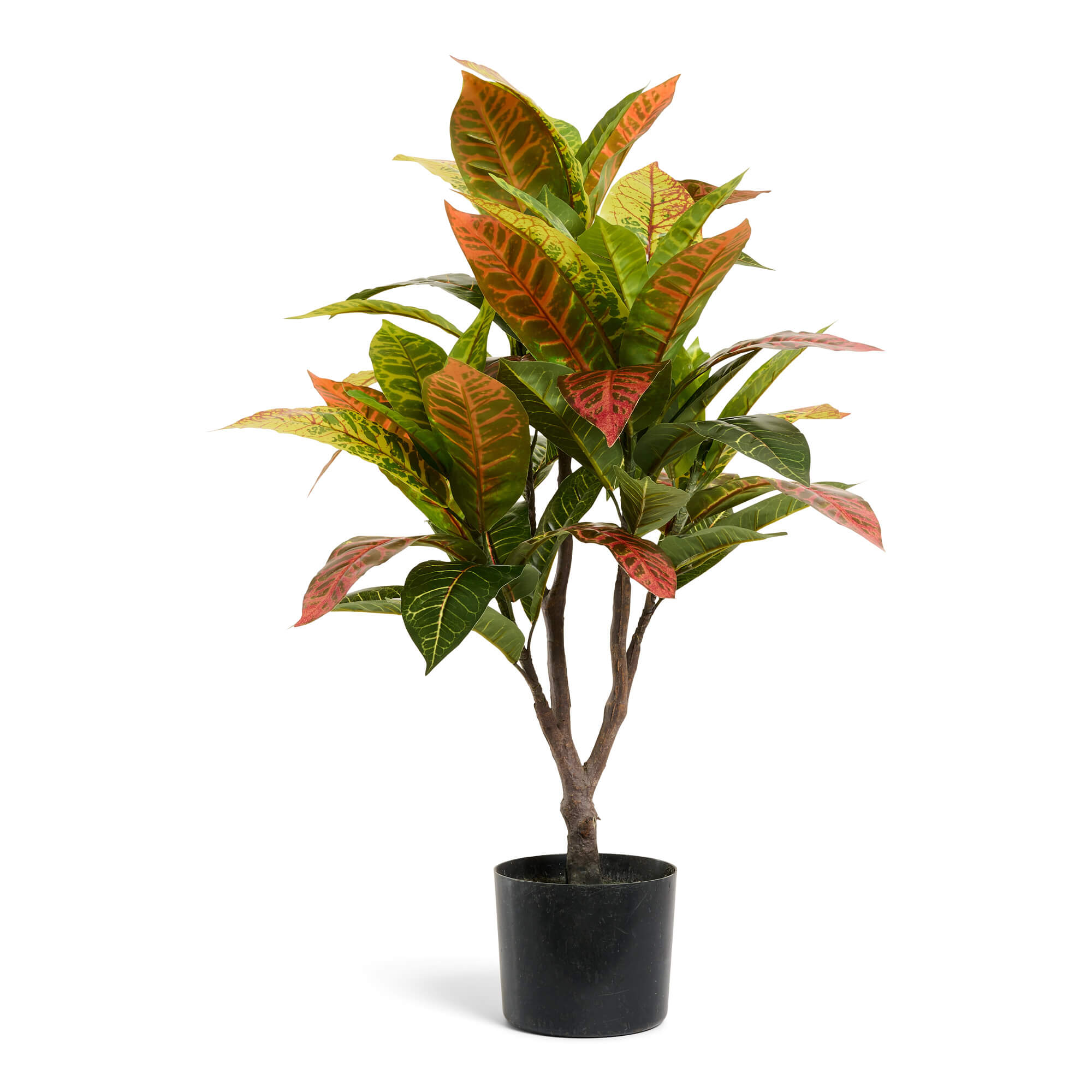 Kunstpflanze Kroton 75 cm - 4Ever Green