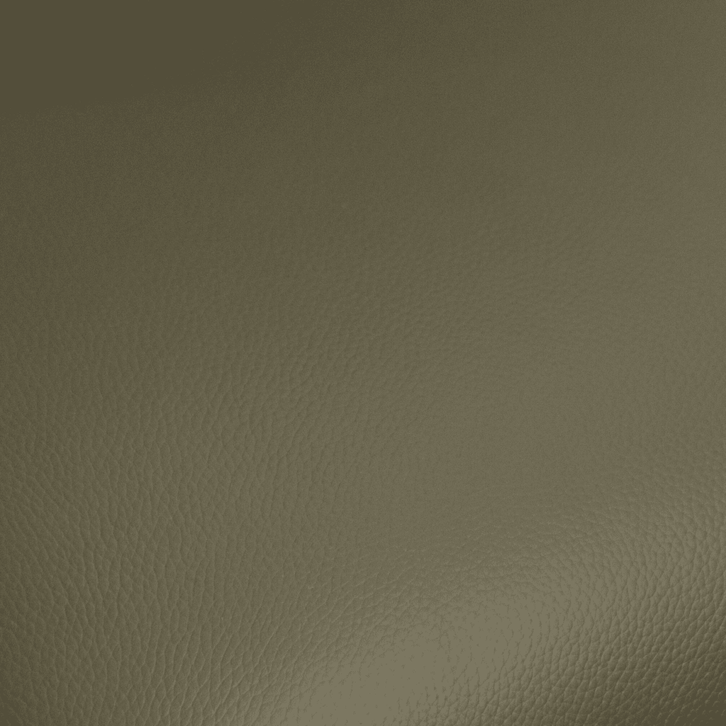 2er Set Esszimmerstühle mit Armlehne - Drehbar - Olivgrün - FURNHOUSE