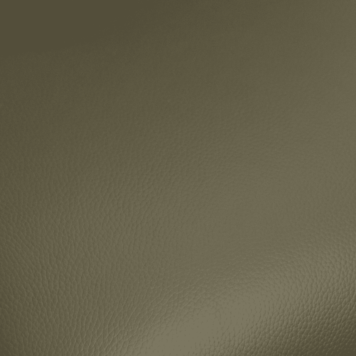 2er Set Esszimmerstühle mit Armlehne - Drehbar - Olivgrün - FURNHOUSE