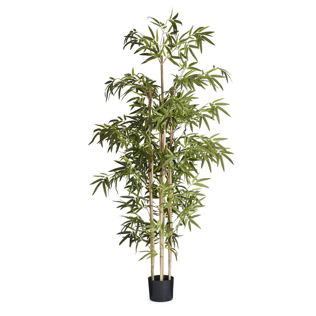 Kunstpflanze Bambus 190 cm - 4Ever Green