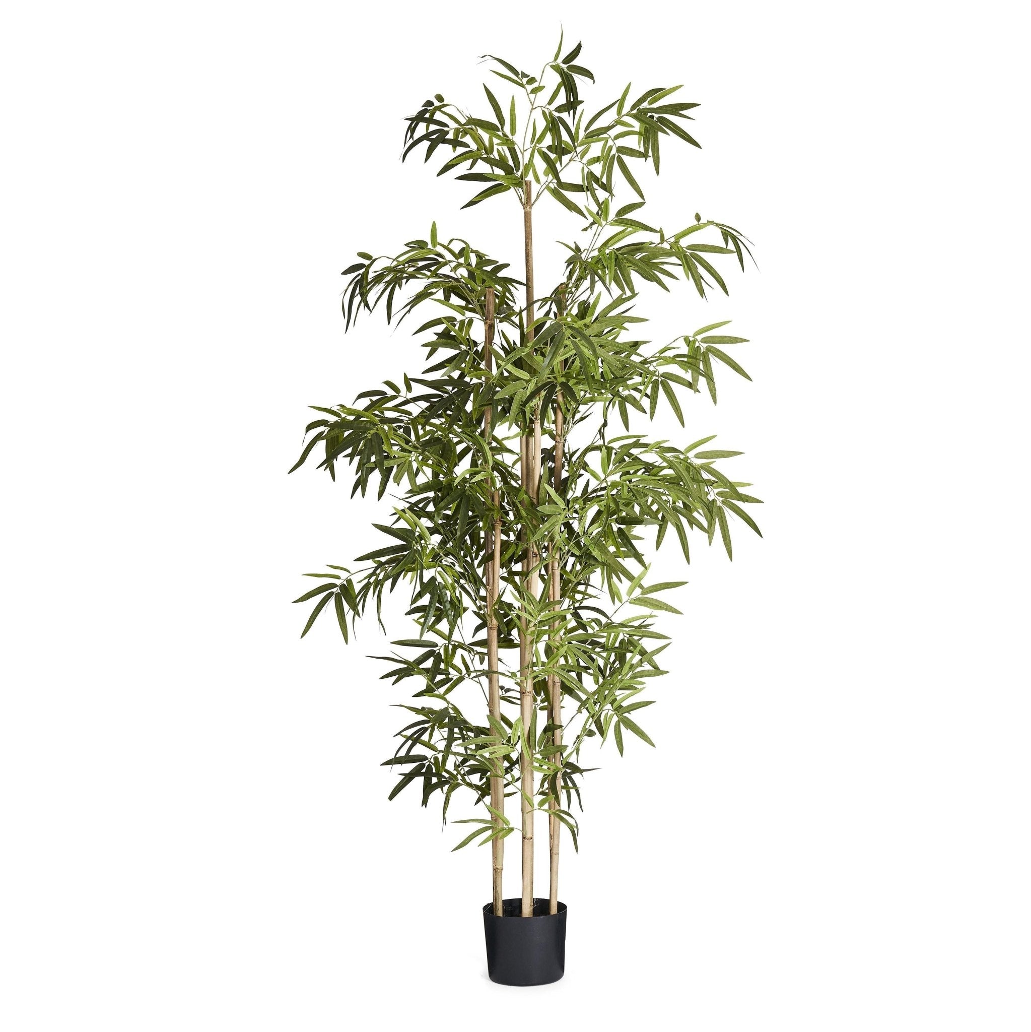 Kunstpflanze Bambus 190 cm - 4Ever Green