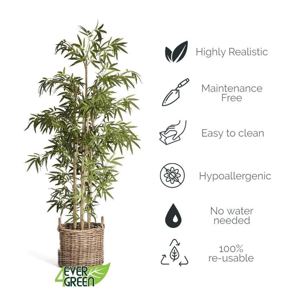 Kunstpflanze Bambus 190 cm - 4Ever Green