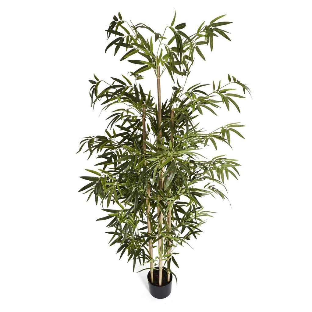 Kunstpflanze Bambus 190 cm - 4Ever Green