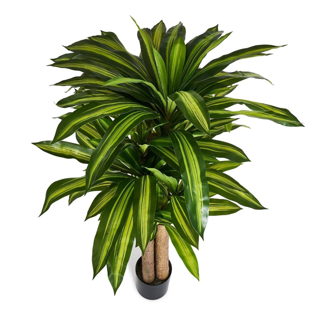 Kunstpflanze Dracaena 155 cm - 4Ever Green