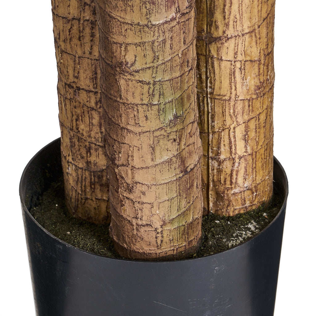 Kunstpflanze Dracaena 155 cm - 4Ever Green