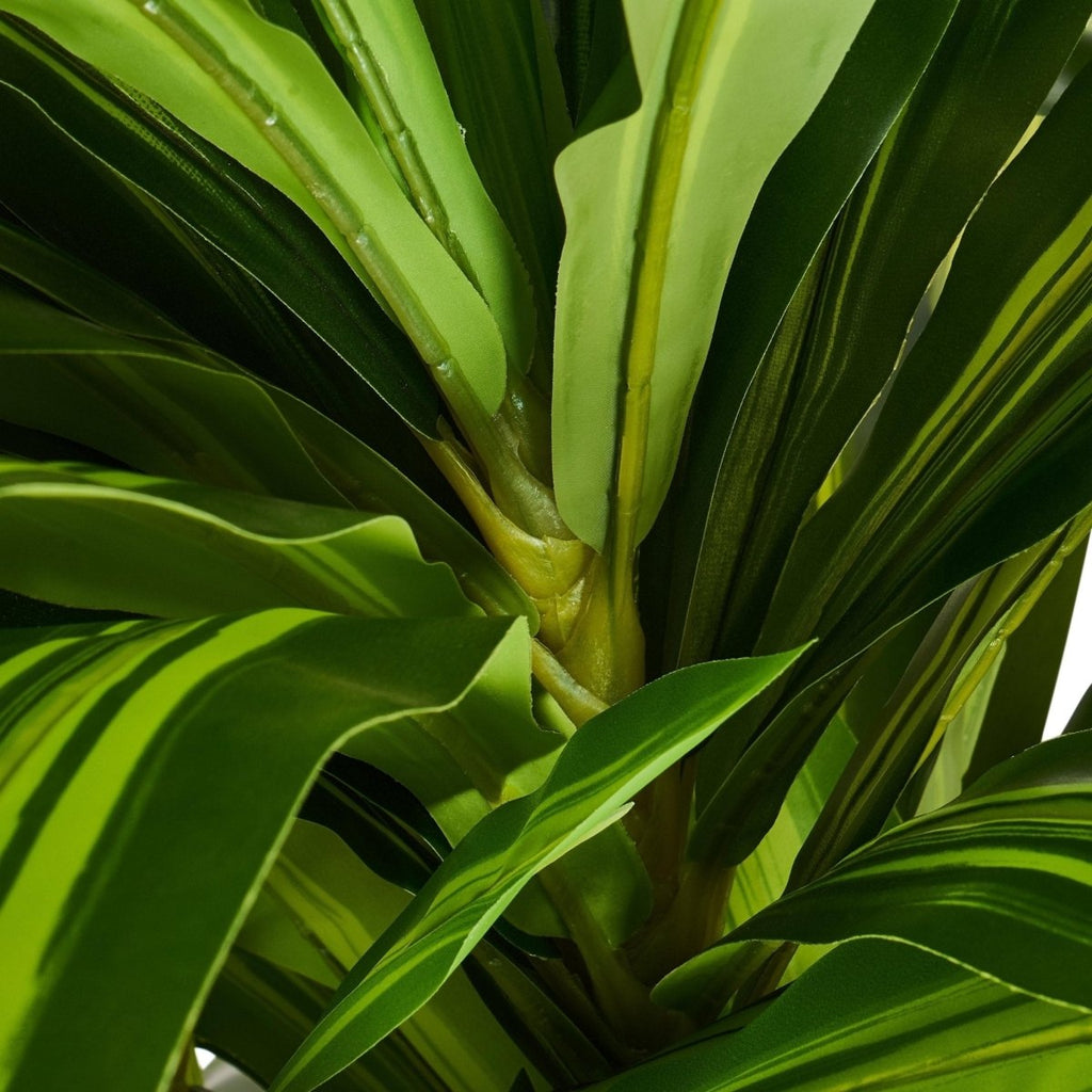 Kunstpflanze Dracaena 155 cm - 4Ever Green