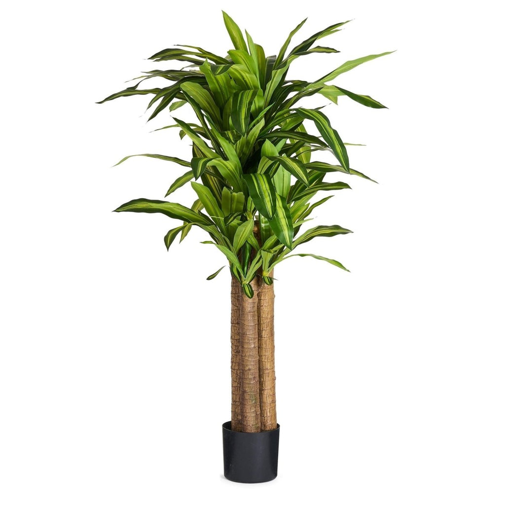 Kunstpflanze Dracaena 155 cm - 4Ever Green