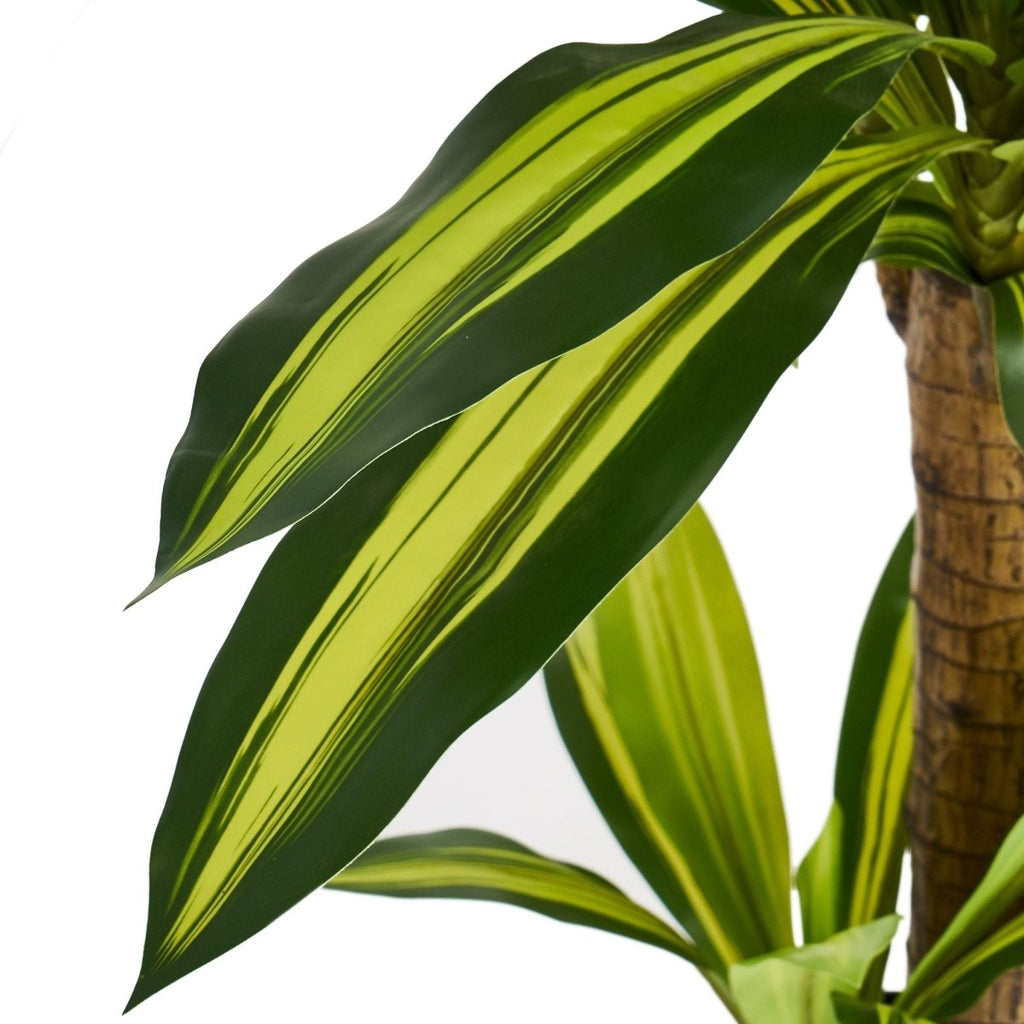 Kunstpflanze Dracaena 80 cm - 4Ever Green