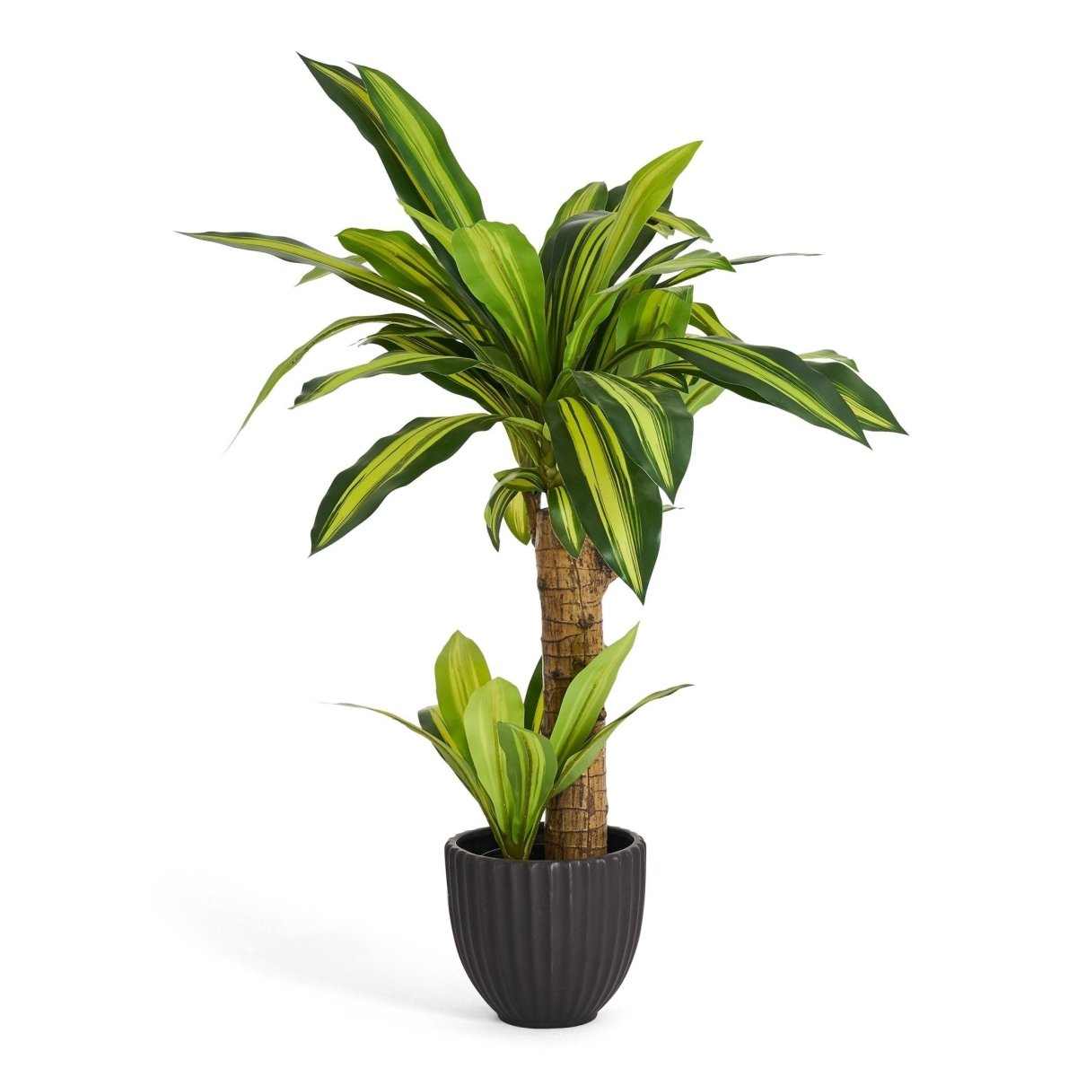 Kunstpflanze Dracaena 80 cm - 4Ever Green