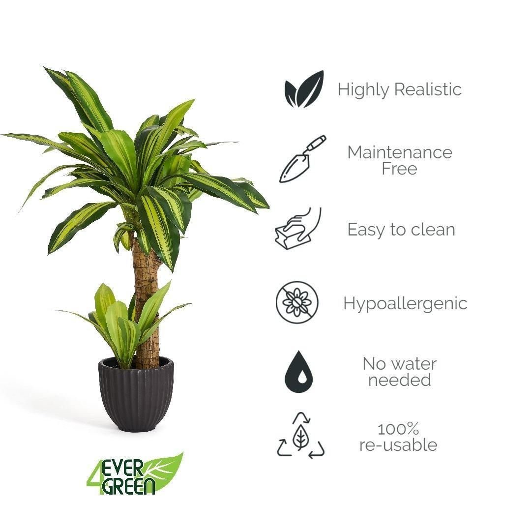 Kunstpflanze Dracaena 80 cm - 4Ever Green