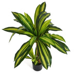 Kunstpflanze Dracaena 80 cm - 4Ever Green