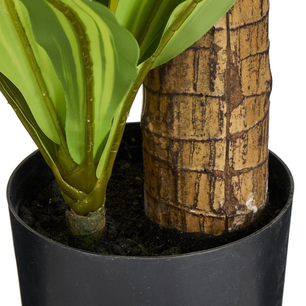 Kunstpflanze Dracaena 80 cm - 4Ever Green