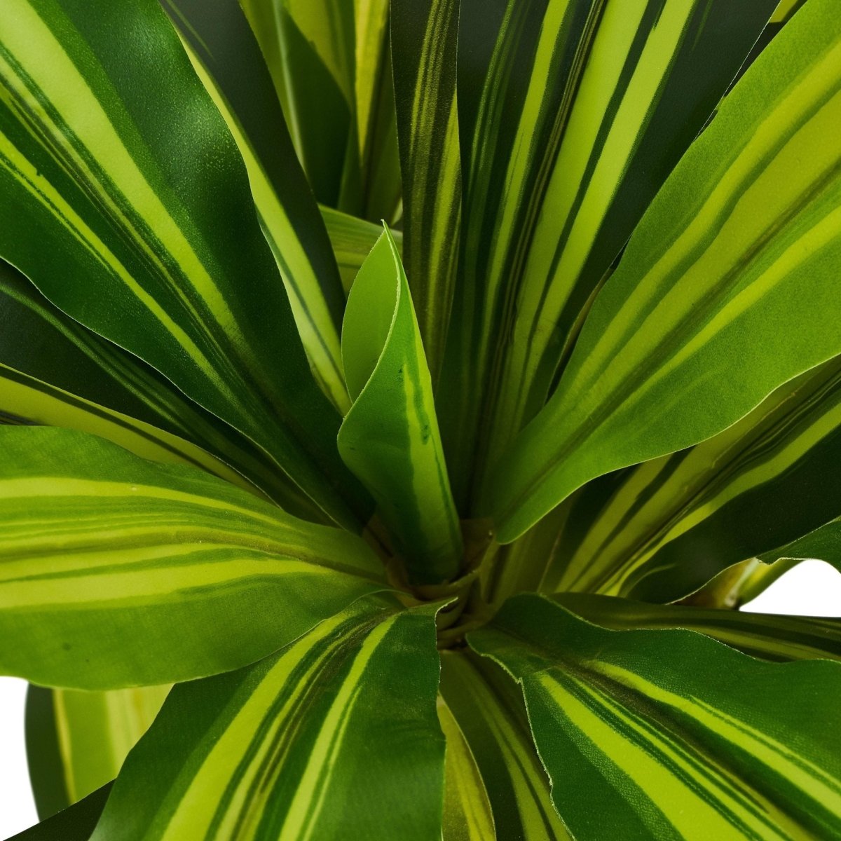 Kunstpflanze Dracaena 80 cm - 4Ever Green