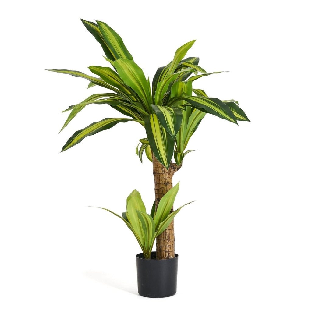 Kunstpflanze Dracaena 80 cm - 4Ever Green