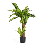 Kunstpflanze Dracaena 80 cm - 4Ever Green