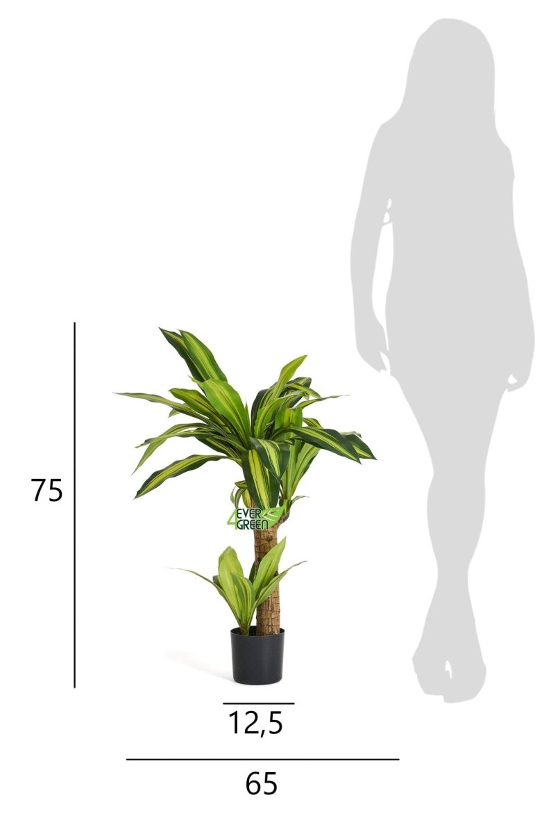 Kunstpflanze Dracaena 80 cm - 4Ever Green