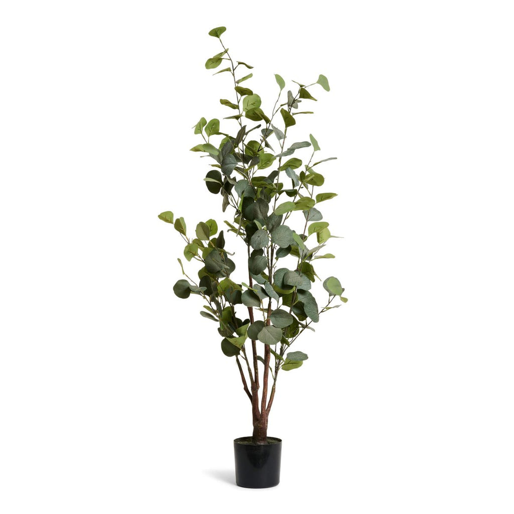 Kunstpflanze Eukalyptus 120 cm - 4Ever Green