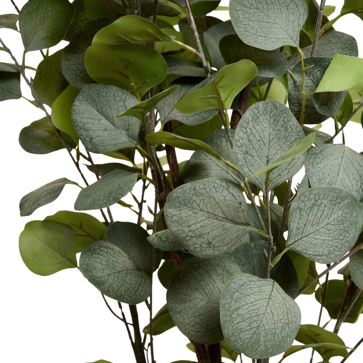 Kunstpflanze Eukalyptus 150 cm - 4Ever Green