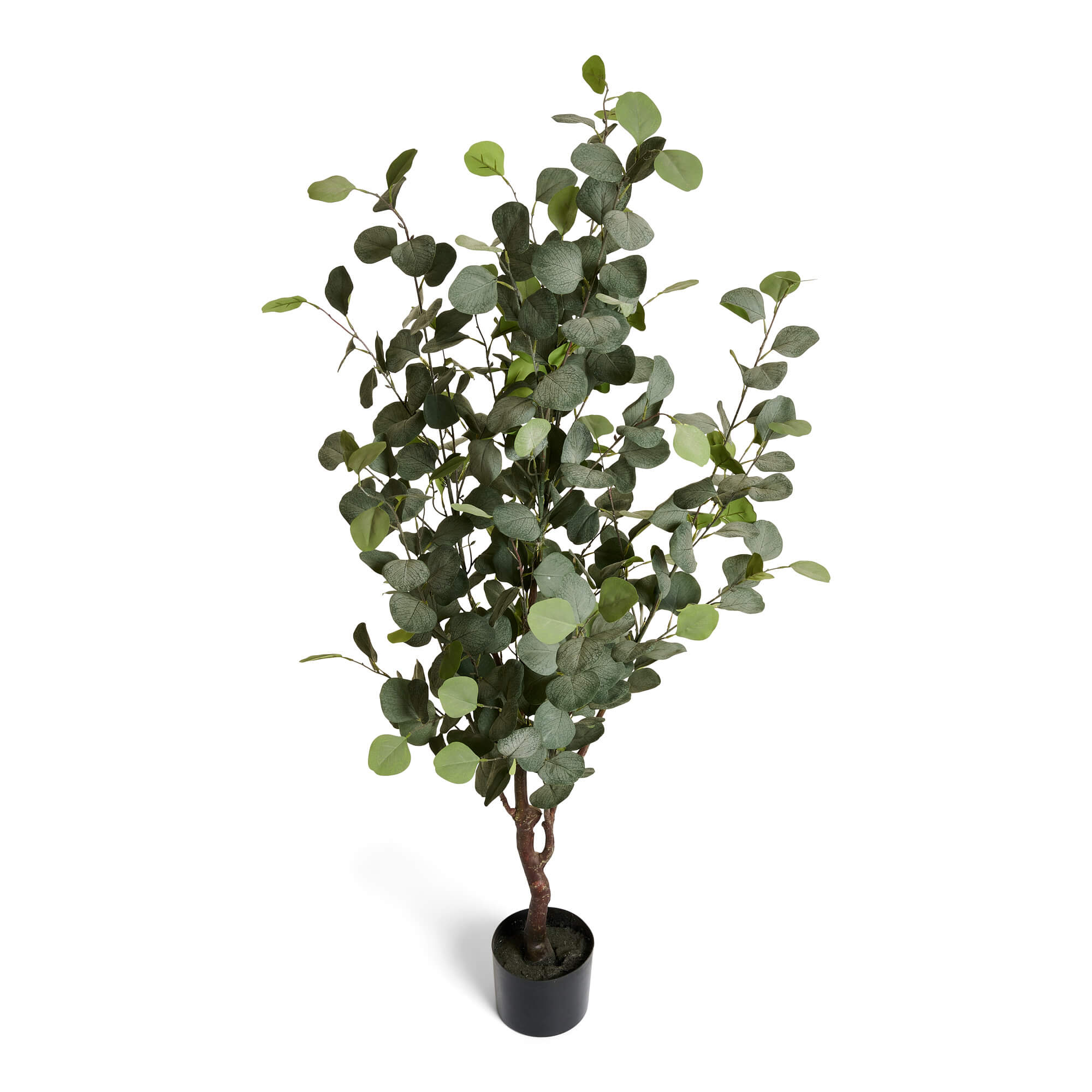 Kunstpflanze Eukalyptus 150 cm - 4Ever Green