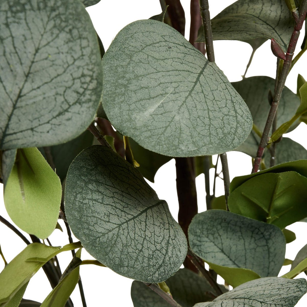 Kunstpflanze Eukalyptus 150 cm - 4Ever Green