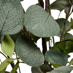Kunstpflanze Eukalyptus 150 cm - 4Ever Green