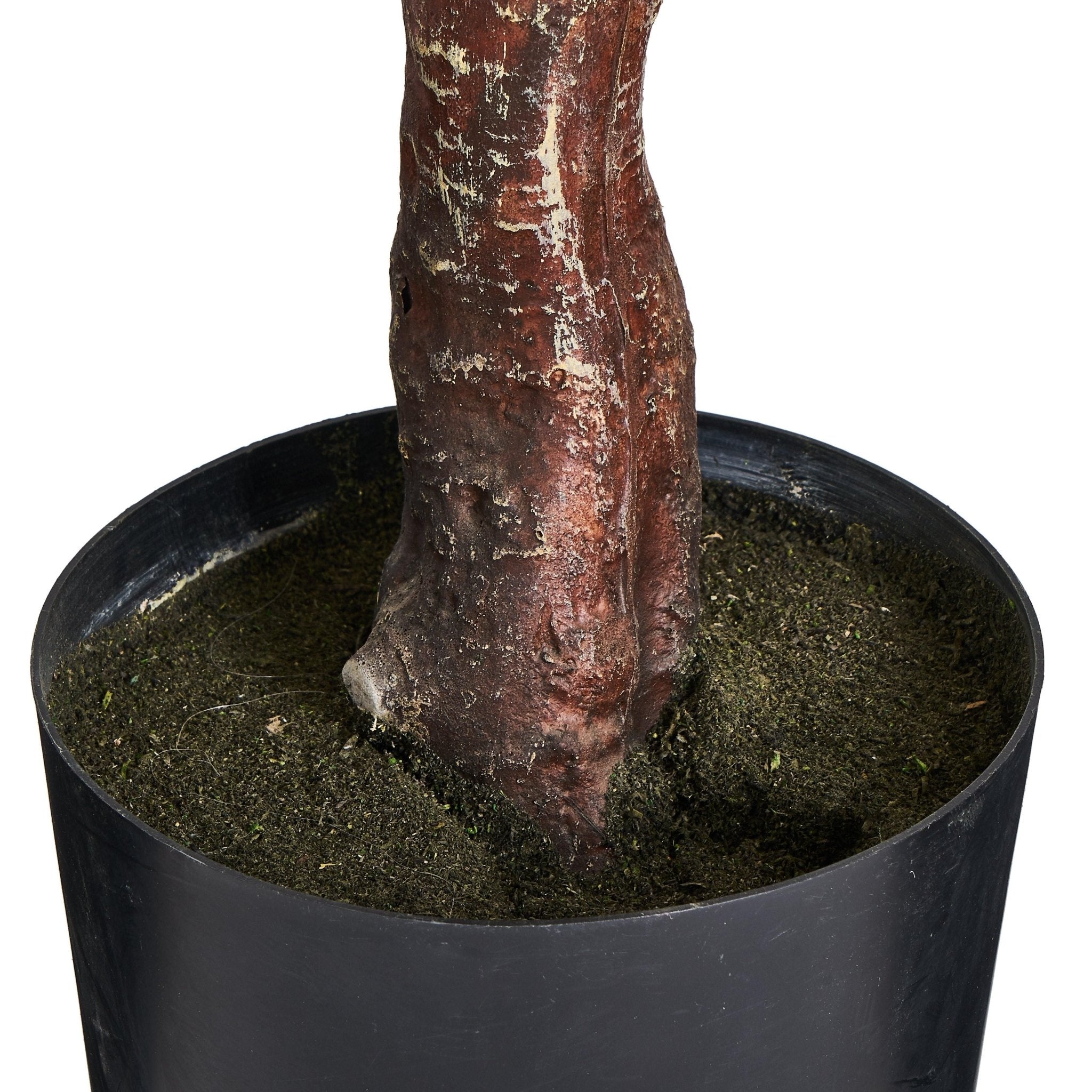 Kunstpflanze Eukalyptus 180 cm - 4Ever Green