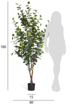 Kunstpflanze Eukalyptus 180 cm - 4Ever Green