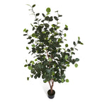 Kunstpflanze Eukalyptus 180 cm - 4Ever Green