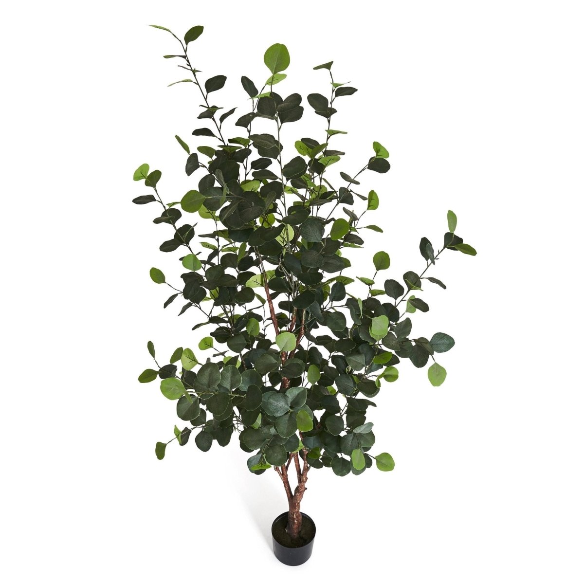 Kunstpflanze Eukalyptus 180 cm - 4Ever Green