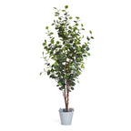 Kunstpflanze Eukalyptus 180 cm - 4Ever Green