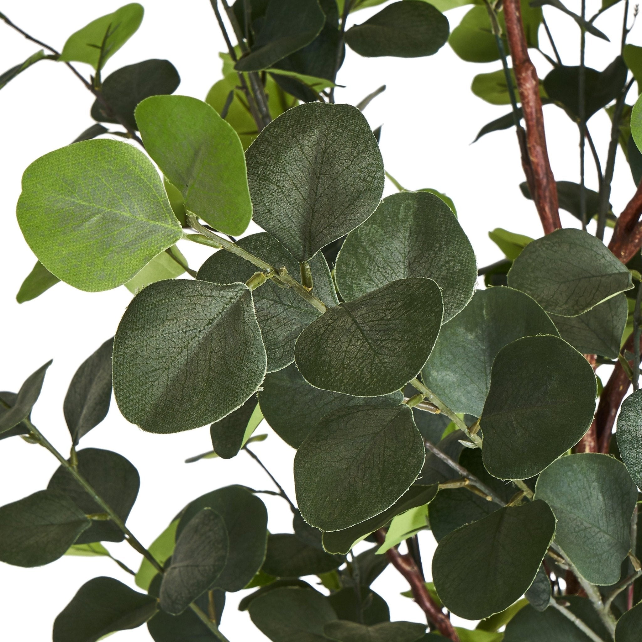 Kunstpflanze Eukalyptus 180 cm - 4Ever Green