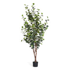 Kunstpflanze Eukalyptus 180 cm - 4Ever Green