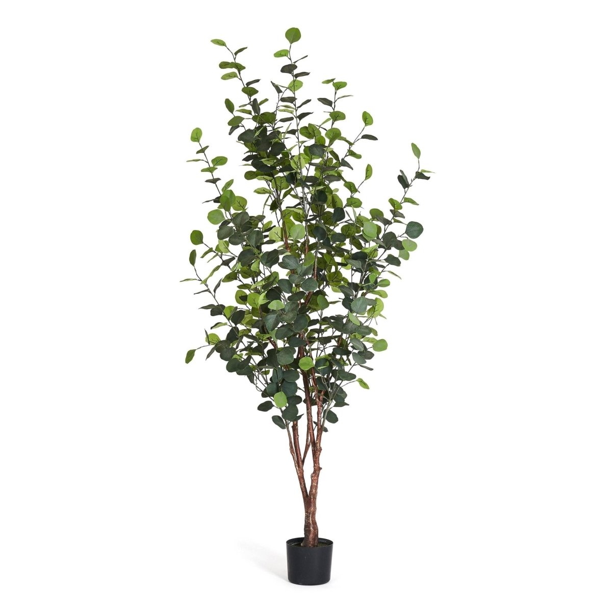 Kunstpflanze Eukalyptus 180 cm - 4Ever Green