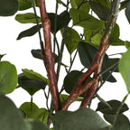 Kunstpflanze Eukalyptus 180 cm - 4Ever Green