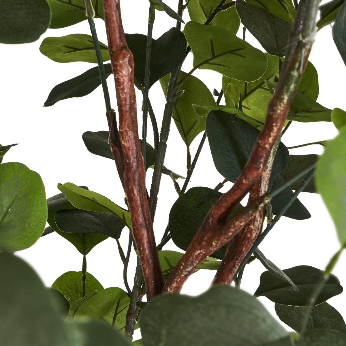 Kunstpflanze Eukalyptus 180 cm - 4Ever Green