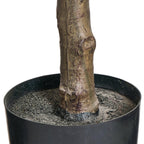 Kunstpflanze Ficus 155 cm - 4Ever Green