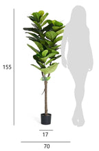 Kunstpflanze Ficus 155 cm - 4Ever Green