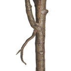 Kunstpflanze Ficus 155 cm - 4Ever Green