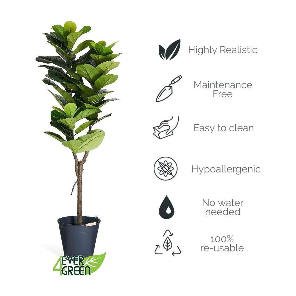 Kunstpflanze Ficus 155 cm - 4Ever Green