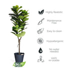 Kunstpflanze Ficus 155 cm - 4Ever Green