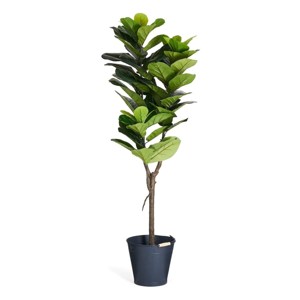 Kunstpflanze Ficus 155 cm - 4Ever Green