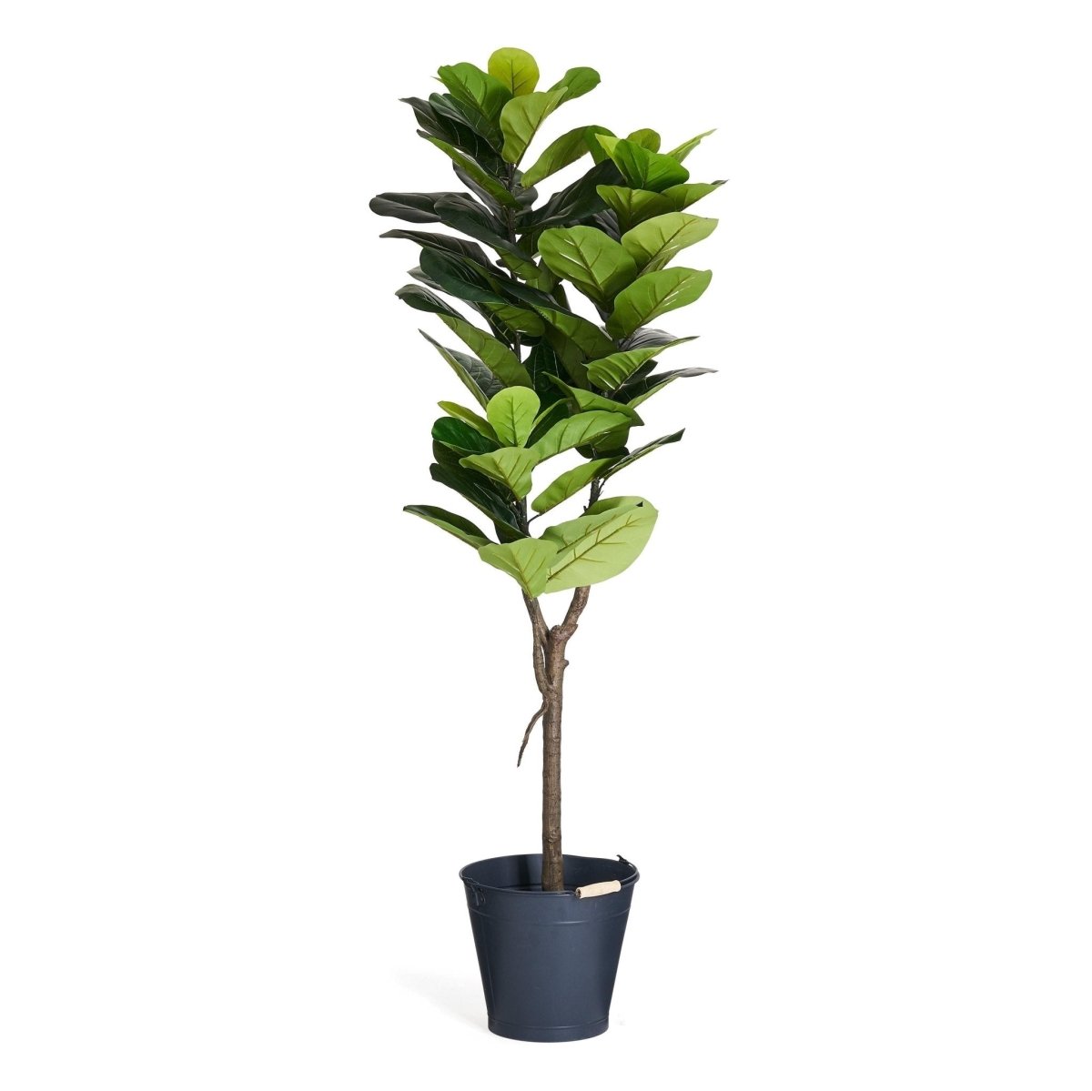 Kunstpflanze Ficus 155 cm - 4Ever Green