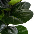Kunstpflanze Ficus 155 cm - 4Ever Green