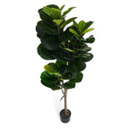 Kunstpflanze Ficus 155 cm - 4Ever Green