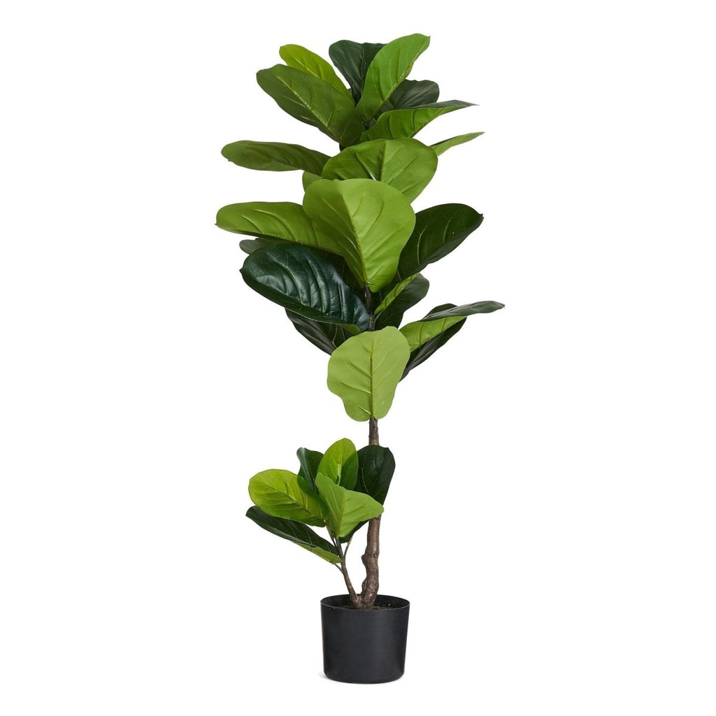 Kunstpflanze Ficus 90 cm - 4Ever Green