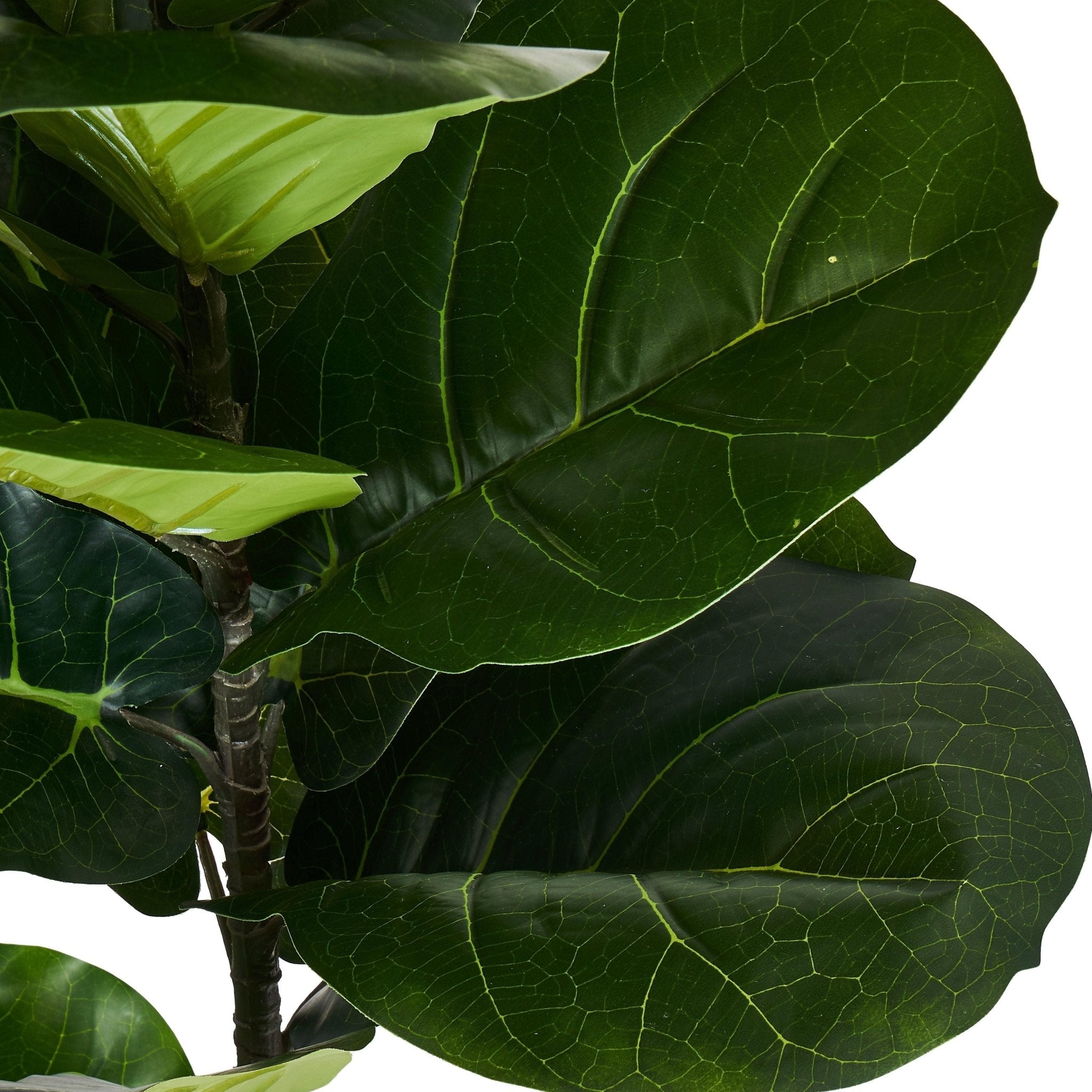 Kunstpflanze Ficus 90 cm - 4Ever Green