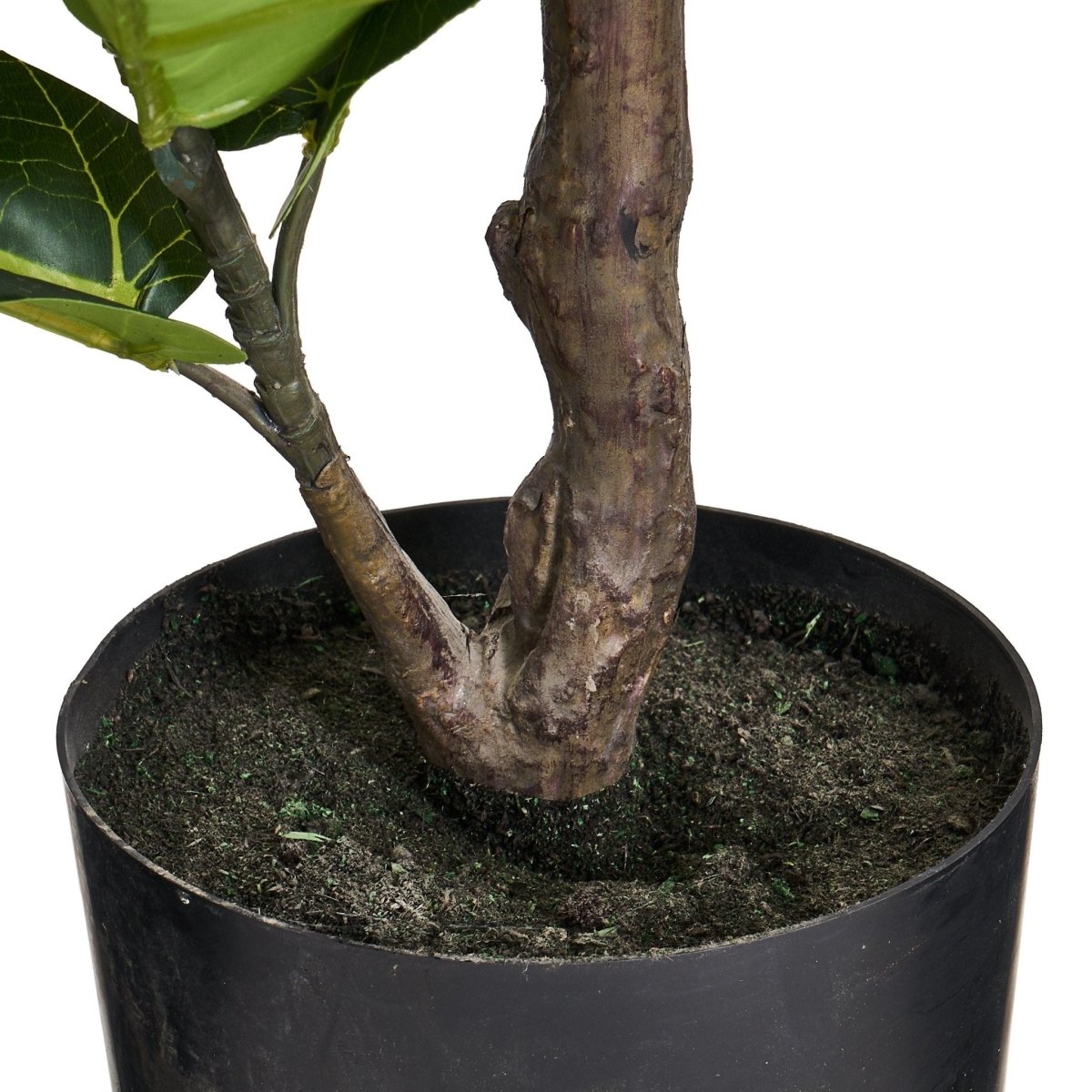 Kunstpflanze Ficus 90 cm - 4Ever Green