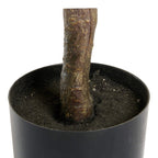 Kunstpflanze Kroton 120 cm - 4Ever Green