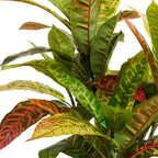 Kunstpflanze Kroton 75 cm - 4Ever Green