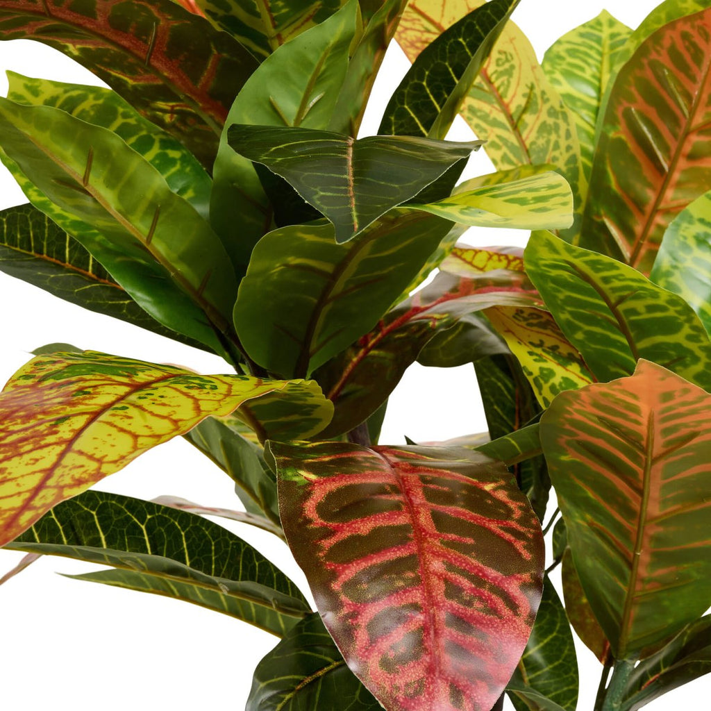 Kunstpflanze Kroton 75 cm - 4Ever Green